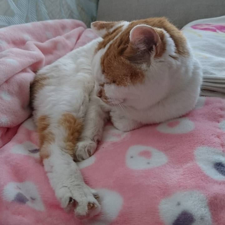 38c31bc2 c029 4cf2 80e3 14473720593b 1546385609793