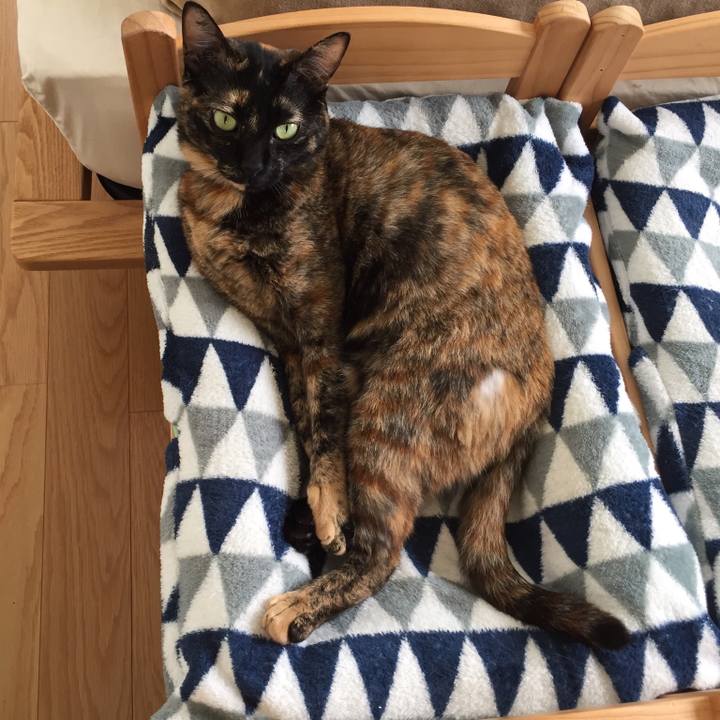 38c3463b a8a8 4fde b9b9 068de64d9150 1527482891419