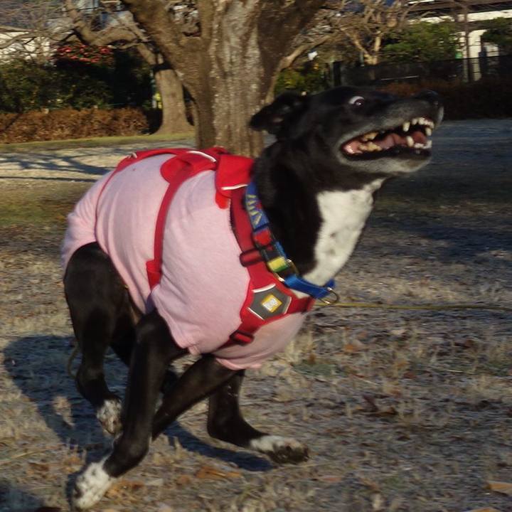 38c34ad6 89a9 49be 93dd c42bd66b4dad 1673140007140