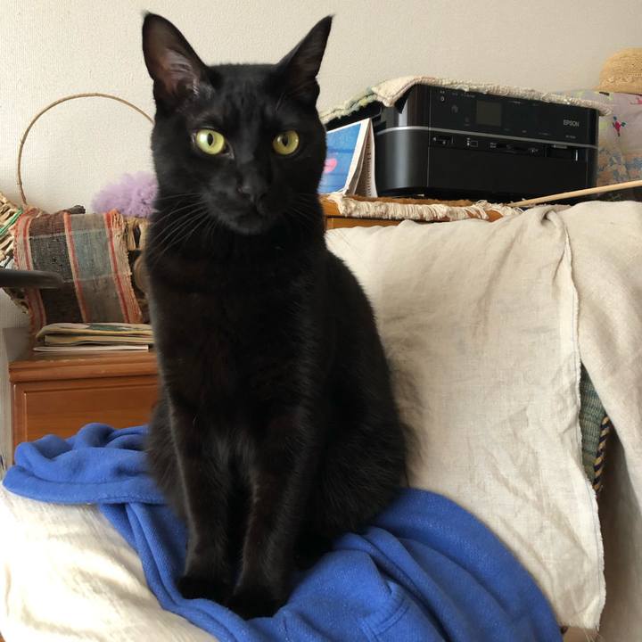 38c3dc68 184e 4960 bb1c b17a63f27917 1545524093428