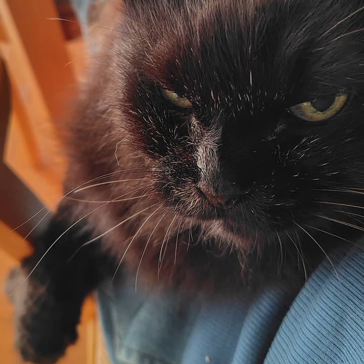 38c4067e 3af0 4fd4 85f6 f30baab71f93 1752905581749