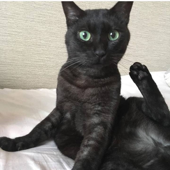 38c47089 25d8 452b 974b 223376c68f80 1567247141945