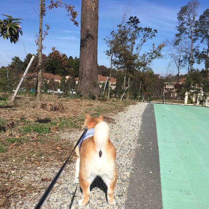 38c478bb b375 497c 89bf e8ab3fbc737e 1542339981710