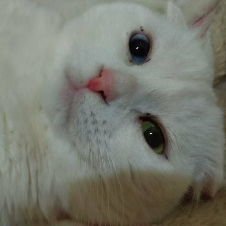 38c47a79 0e32 495b 8f03 7708614f6446 1550627085579