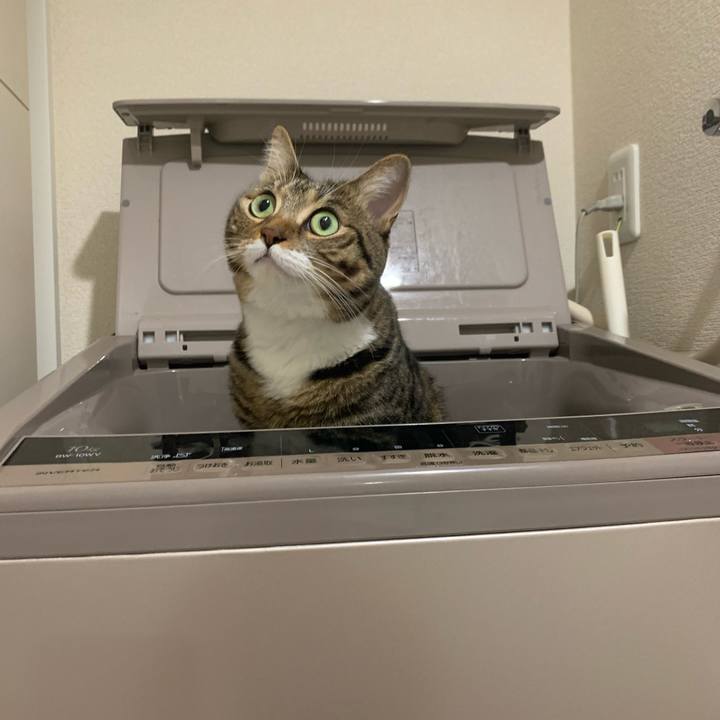 38c4c611 d838 4299 870d e87218be6967 1604922557375