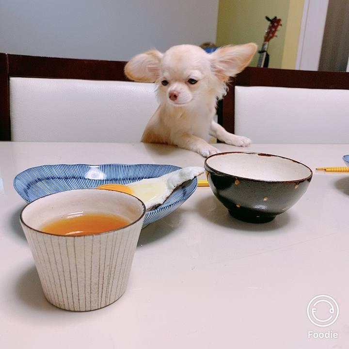 38c4df66 f6a7 45e5 b35a 7114aff8cf1a 1602107241568