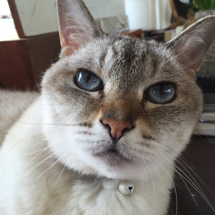 38c53ba9 c228 418f bed2 a4a9e9c51a4e 1532224508785