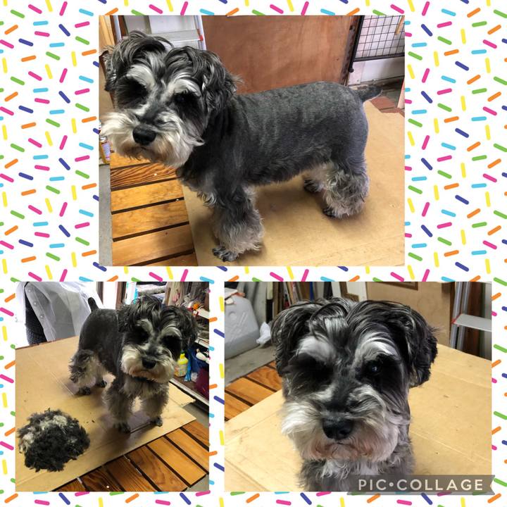 38c59db4 42ad 4d39 8009 873ebadc74b5 1637568153350