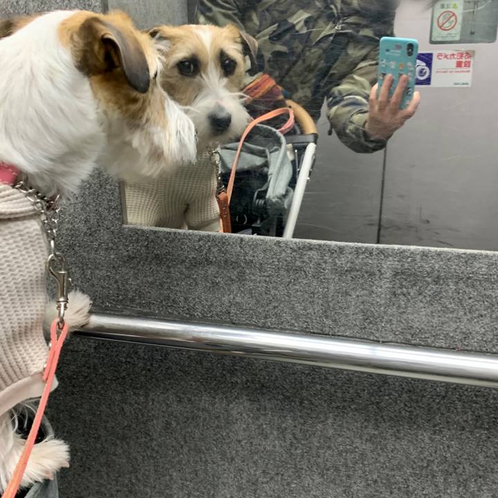 38c5acc6 a654 45e6 ba6c ddfc01632be9 1610253584100