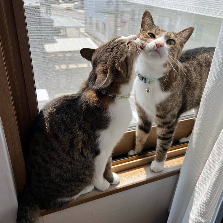 38c5e2d4 7c72 464b 8304 8fc0d4fca404 1750586496034