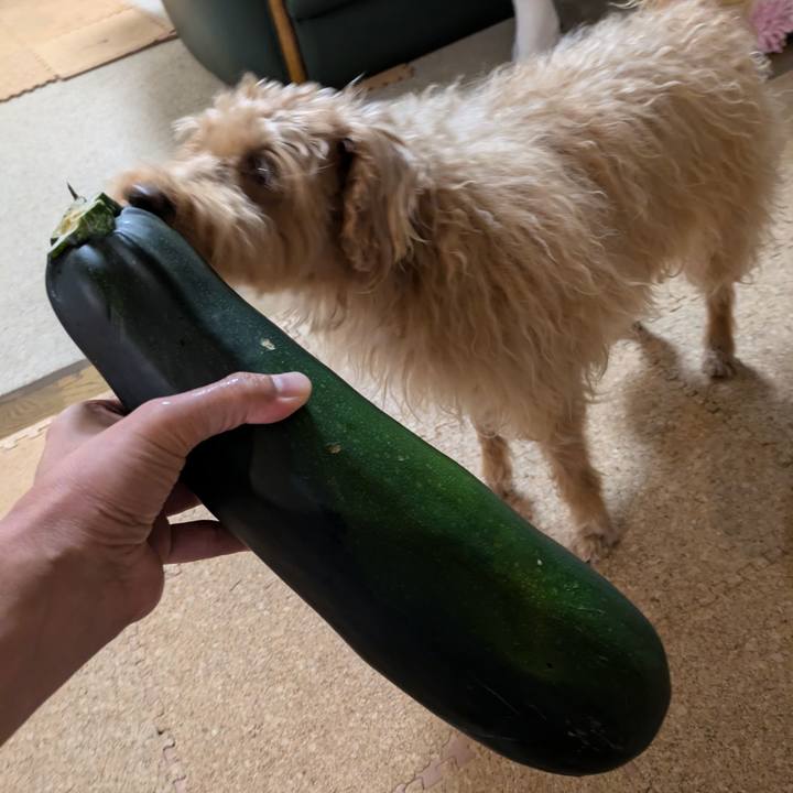 38c6125d e0f3 492b 9da2 94e7a574a360 1727129330945