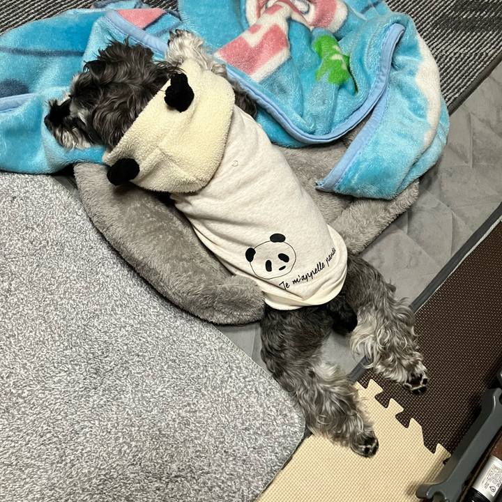 38c61486 6791 44cd 9a2d 1931a31c00d7 1772115429255