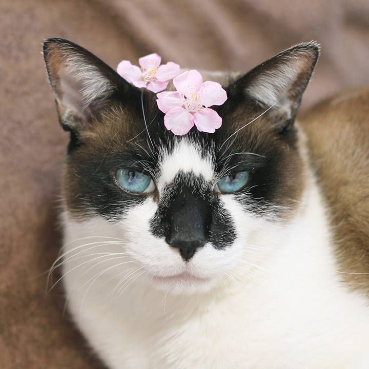 38c65408 757d 4b62 9017 c992bb4f64f3 1522197755660