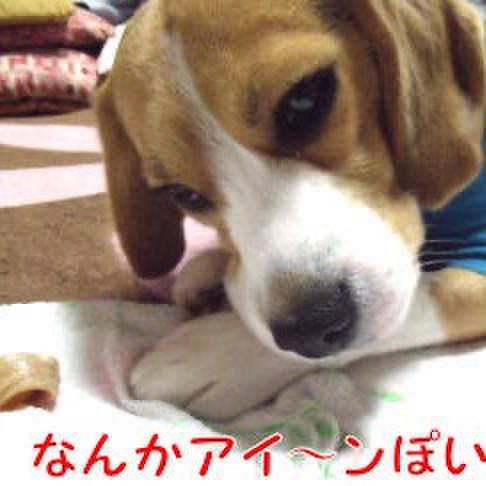 38c66eb7 c853 41b9 a020 bd1800480389 1711774922028