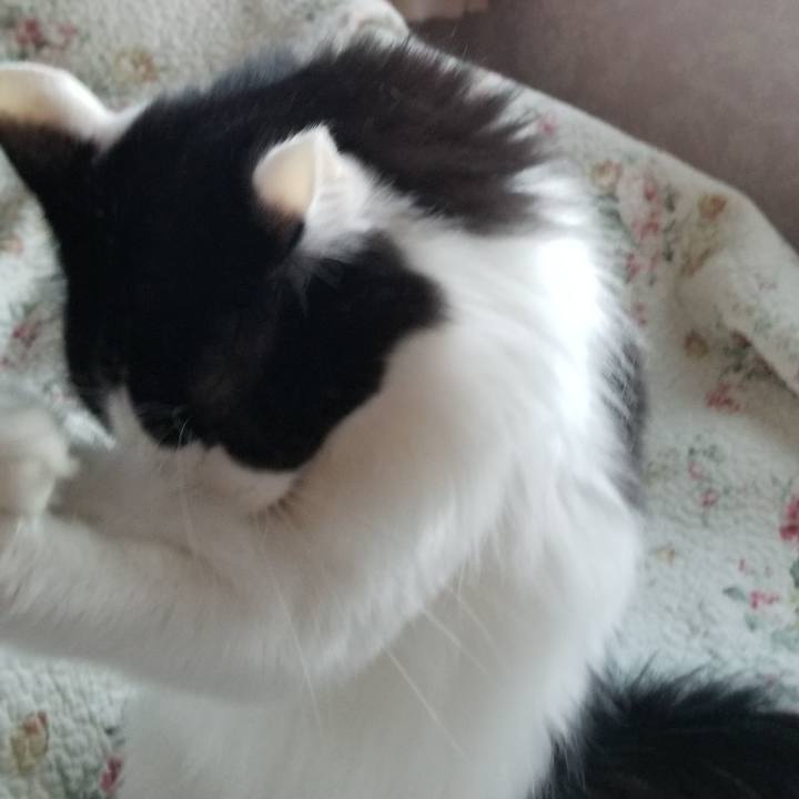 38c69d11 1c2d 4a7b a667 0b9b08189112 1561594219636