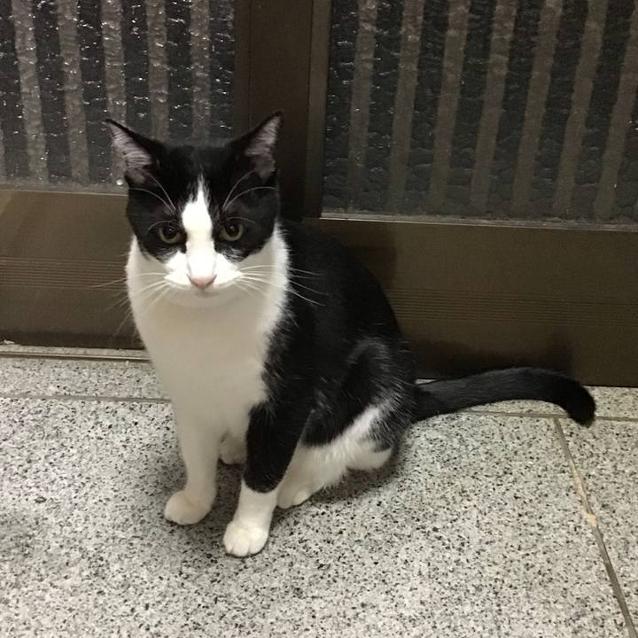 38c70243 def1 4988 a418 bb6d75bdbd6b 1694347106623