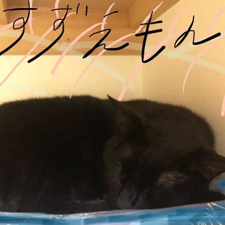 38c72c47 cf31 4cde 8e9d 6a8707291c91 1556367306455