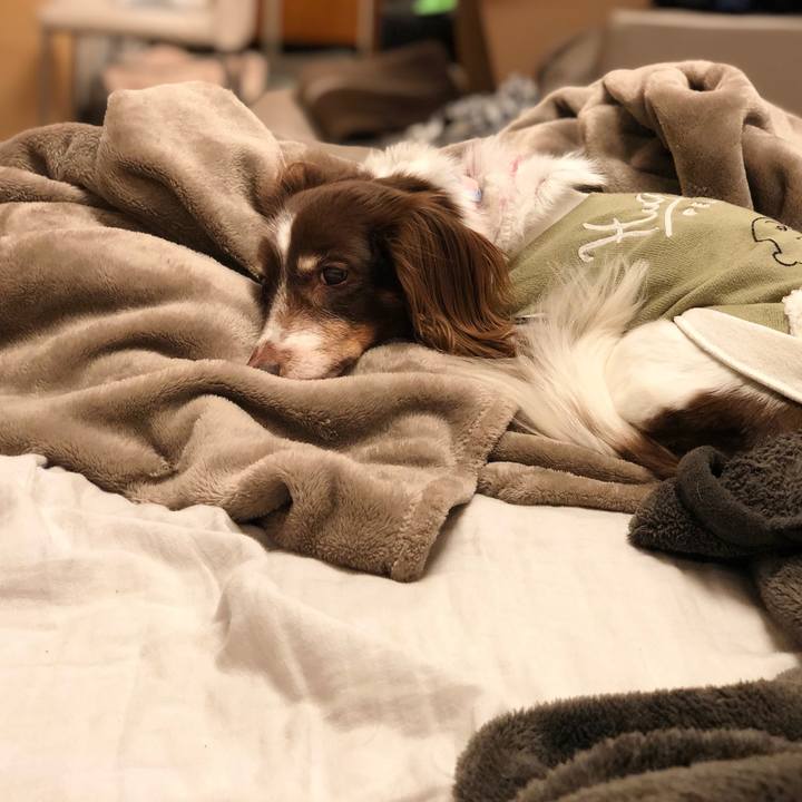 38c74e39 f5ae 41a5 91d8 7fe77c394ae6 1551842083562