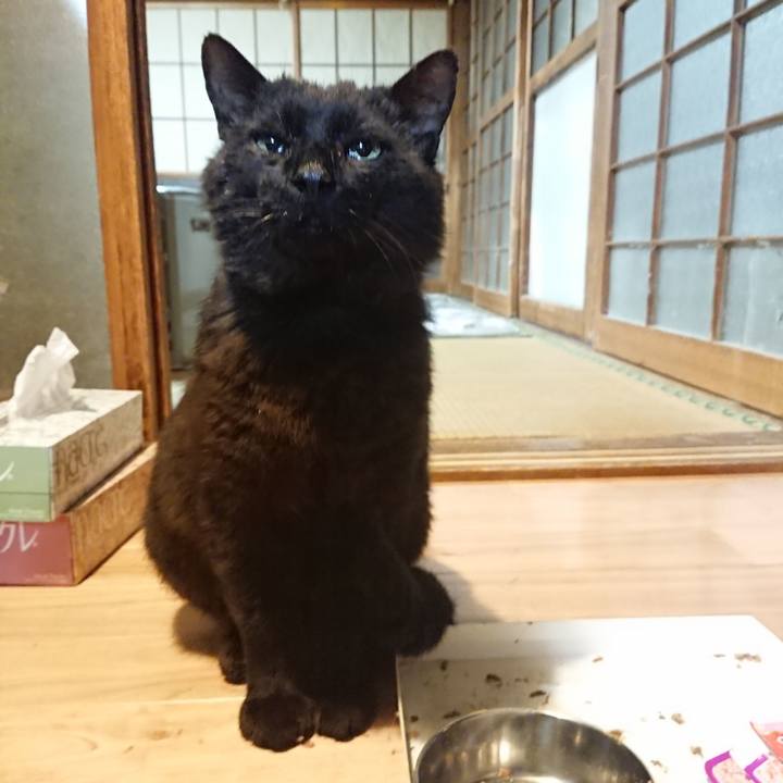 38c77bfd 2d50 4caf 91f0 c8eeb08aecd7 1621768390267