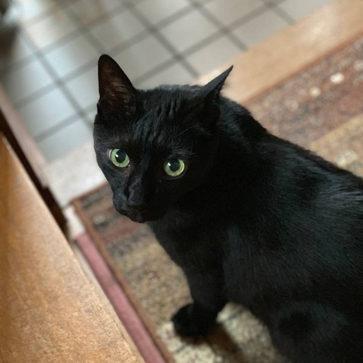 38c78ff5 b613 45a5 ba1f bfb0b600ea9c 1561857552369