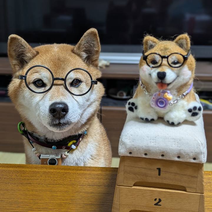 38c79eca 5703 42da 9f5f ec73aeb434e3 1771930786510