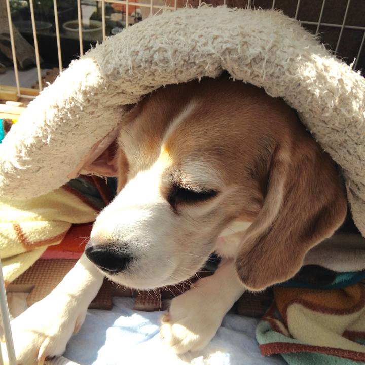 38c7b14b 82b9 4dba b7ae 37984d6df55c 1740700399831