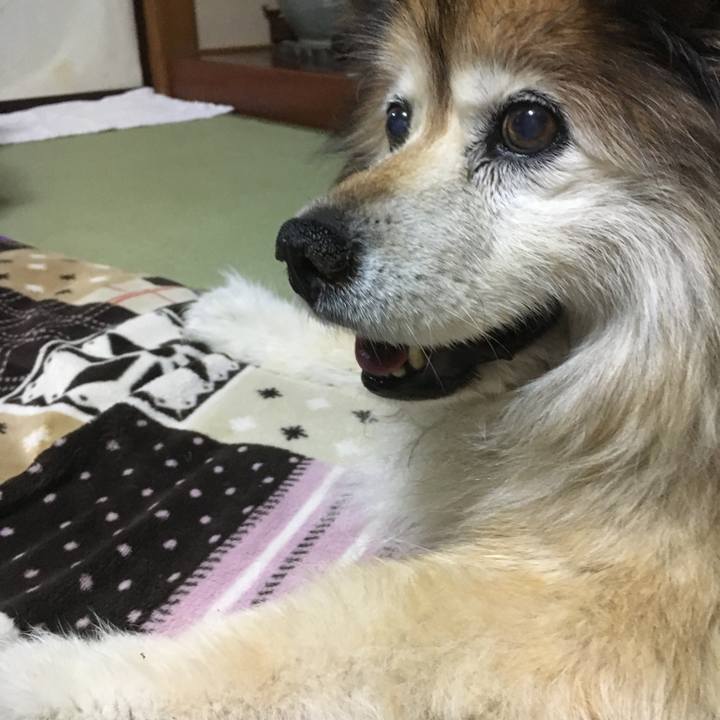 38c7ea0c 9c02 4cce bb87 a789e35eb57a 1593222083556