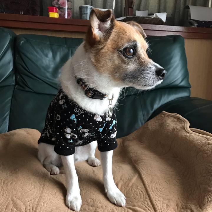 38c85e00 65cb 4b0a a8c1 12d3daab88b6 1551343696916