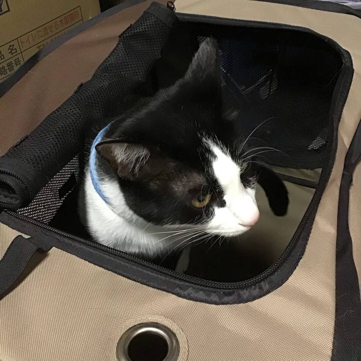 38c86f5a 7d5c 41c5 a1df 143f15dabddb 1684589313489