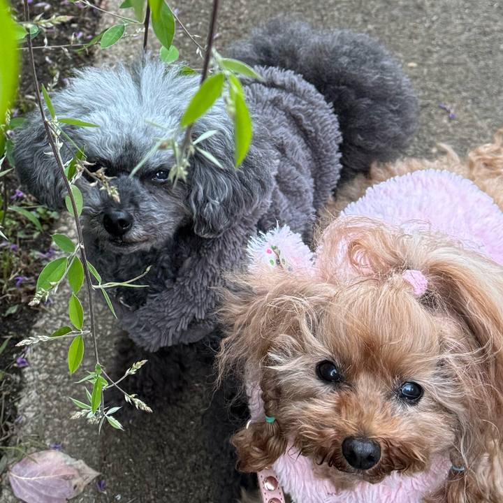 38c87669 6743 46ff abd6 4e78099ab018 1763075857839