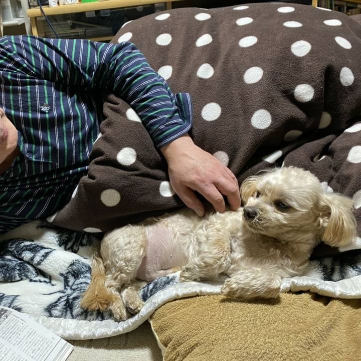 38c8bf93 30e2 4159 a487 dd539320c6d2 1612023604388