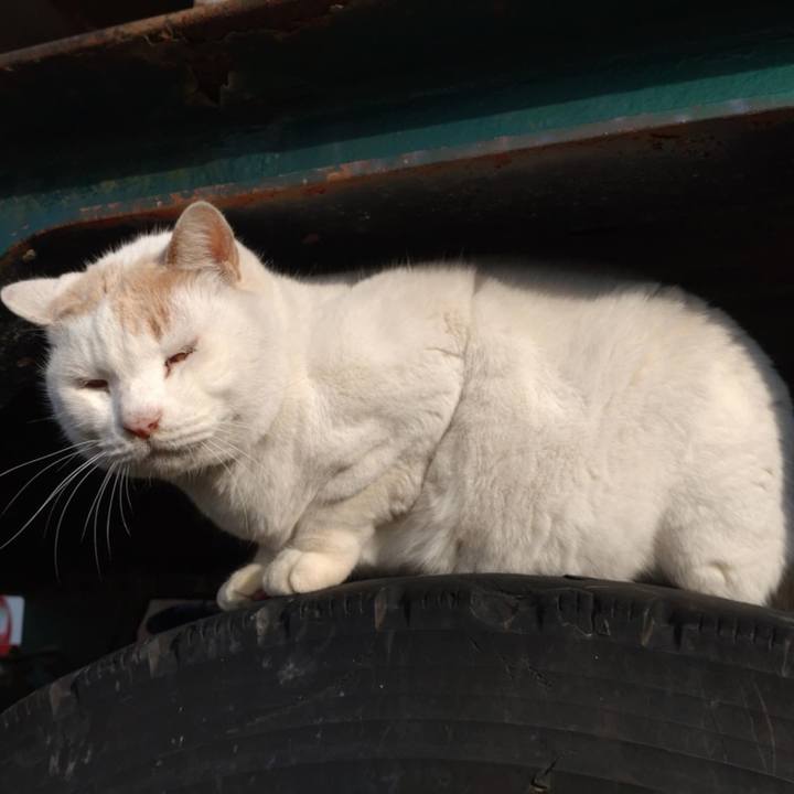 38c8e496 45af 4513 888e 861d701005a8 1733276661235