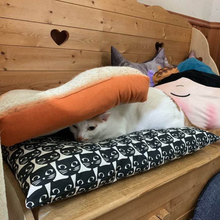 38c8f4ac 5ab0 4983 8f29 5a84216d553a 1585191430240