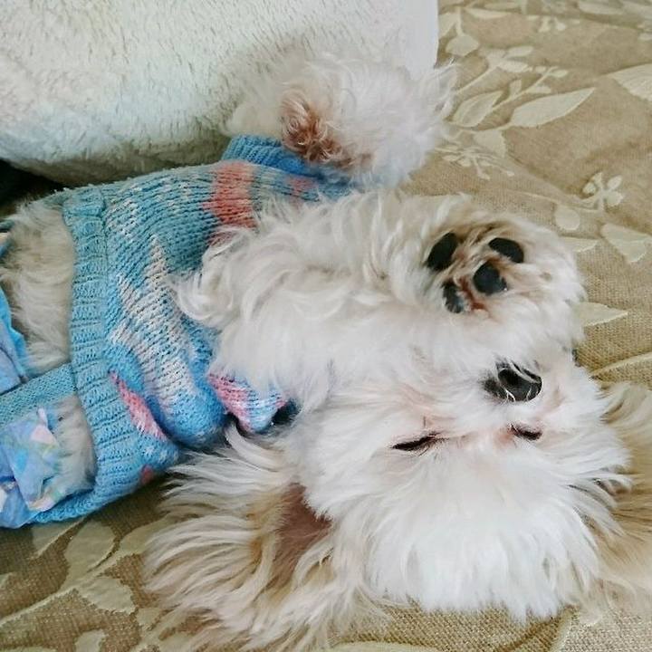 38c90b87 7740 4c94 bfc1 8ddd41ee6936 1516787022983