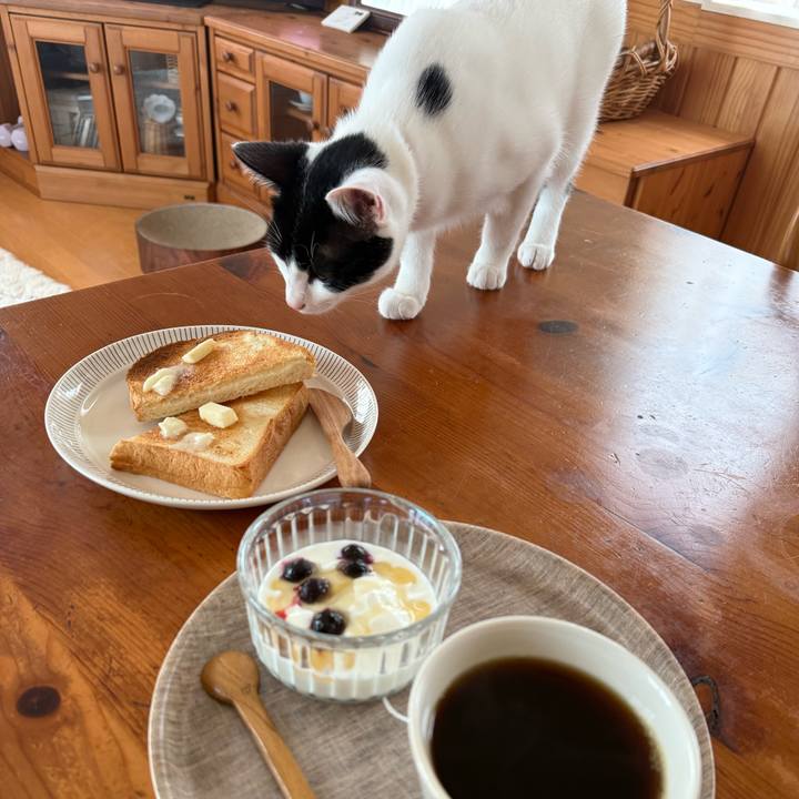 38c91179 f462 4d6f a149 631aa60276ca 1761025421503