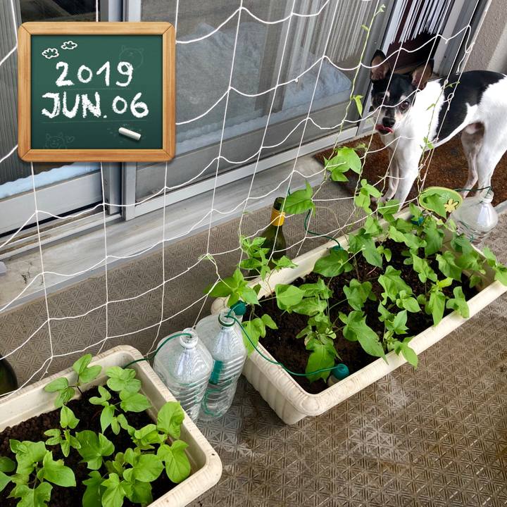 38c941fe a3a0 4c3f b80d 98042b8d7a0e 1559777708348