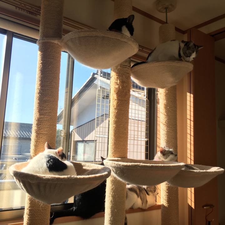 38c94fb5 5b36 418d 83a2 484ceab7e095 1573084946146