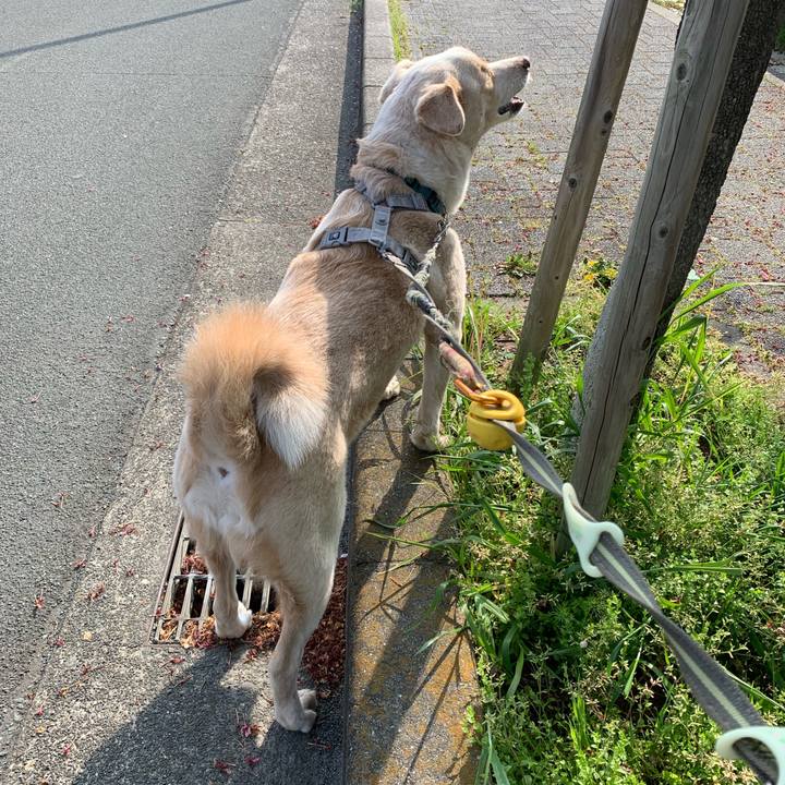 38c98efc 33cb 4057 8ad6 a46211d01447 1555977324543