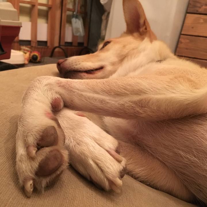 38c9975a 0636 4501 ae72 f01f8ad02829 1507802003540