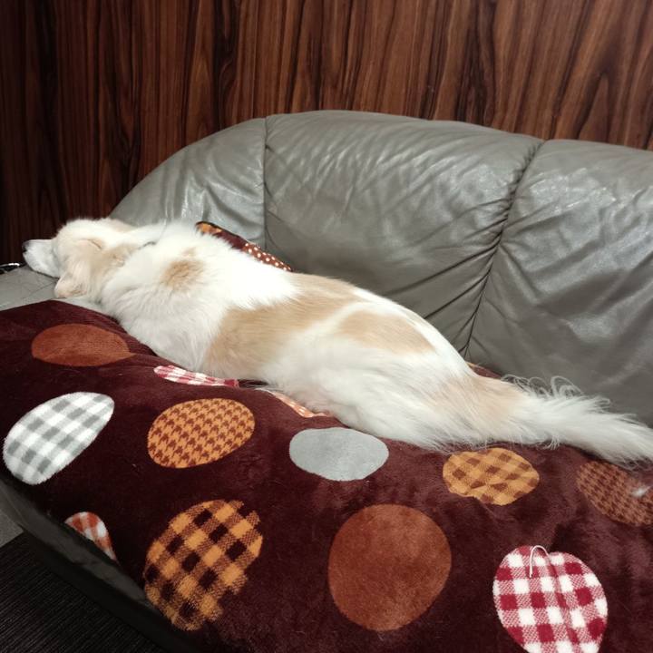 38c9b6f4 d7d3 4c21 a23b cf84c66ef1ce 1677123612631