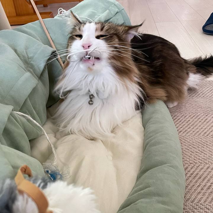 38c9e373 832c 4f26 9622 b4688737bf80 1678658927986