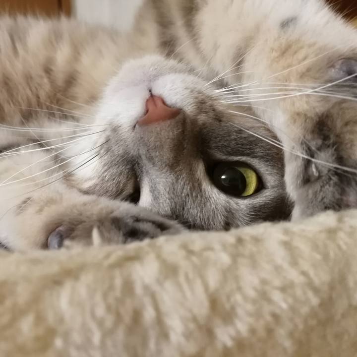 38ca1718 748b 47cc 83f2 04c479a39efb 1552023246851