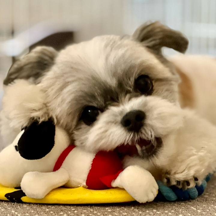 38ca1b7c 0b06 49d6 b94f 333e3978cceb 1699176996388