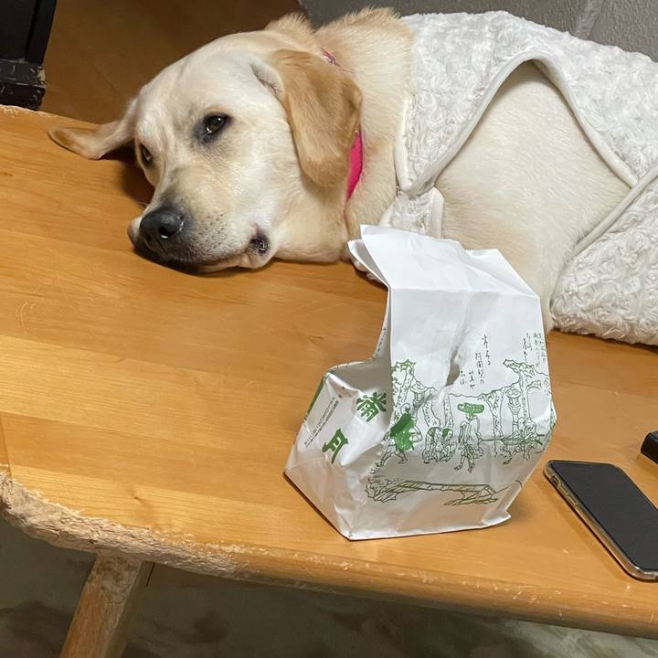 38ca31be 3be4 45c2 b3fb e19075095a6e 1634396943737