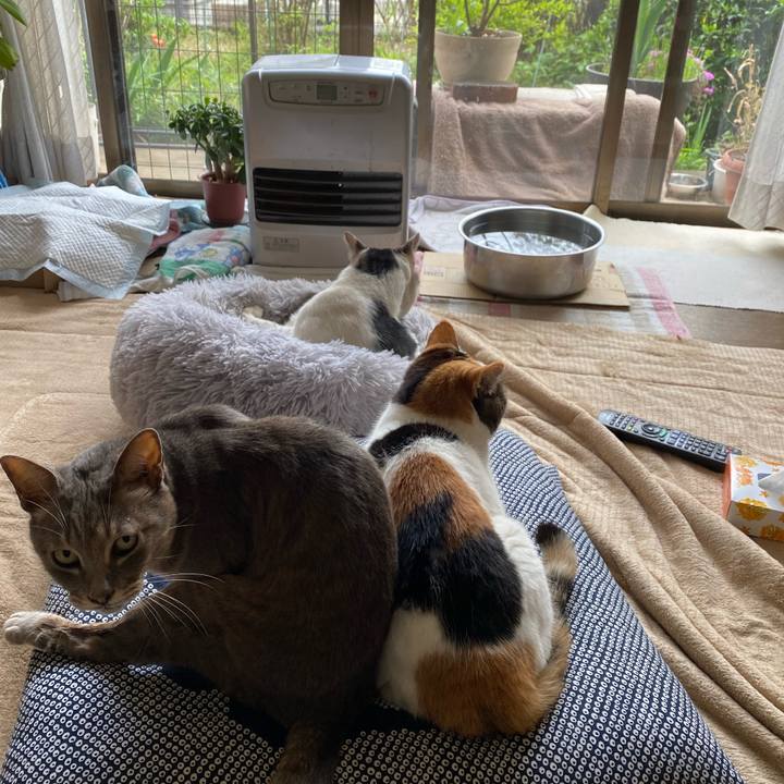 38ca457c 0624 42f6 ad56 d470c8b27373 1617944787551