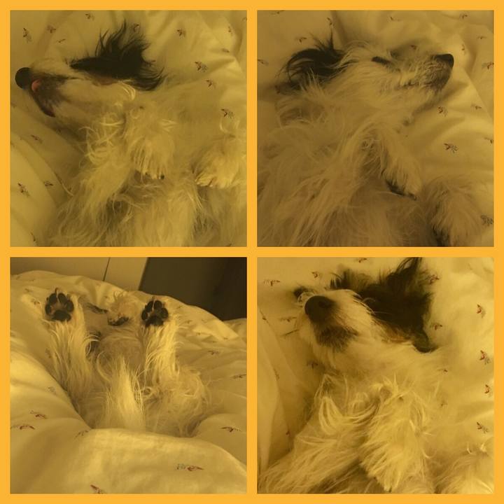 38ca56ee dfa2 4c61 bc65 20d1ee6282c5 1515107458019