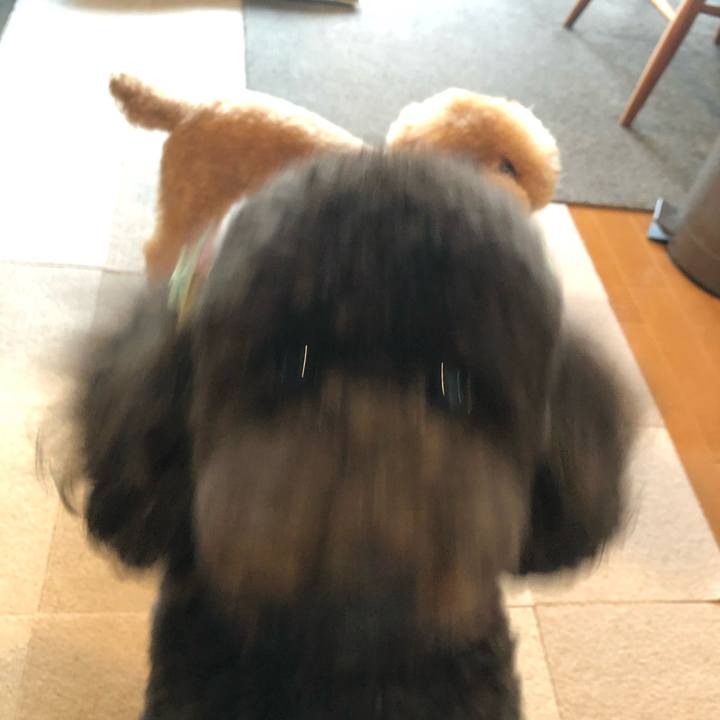 38cad001 c6f6 4420 b20b 3673269d5531 1580379253511