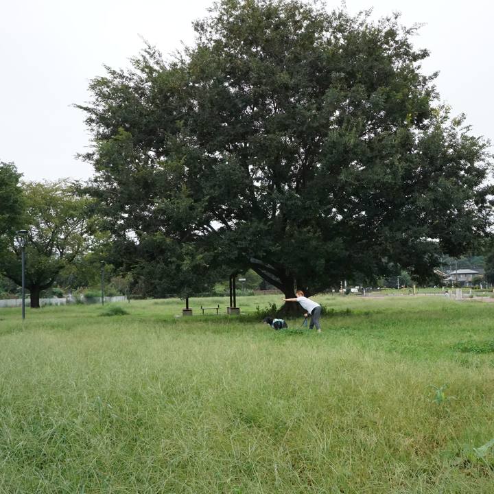 38caf723 35ec 43e7 af5d 0fa51b8b24ff 1790121987912