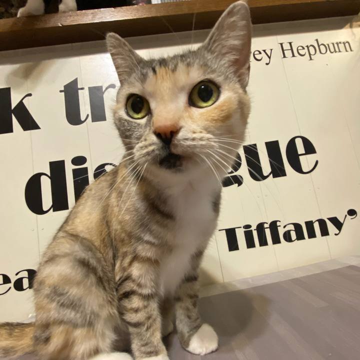 38cb32d1 0f13 445b 9081 6e26bbda5bcd 1612797962956