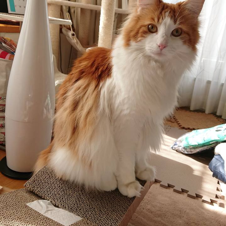 38cba8bc f6d5 4590 a193 51d2080a20cb 1520043007053